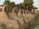 3.2 meters in a perfectly straight line leading to Karnak temple.jpg
